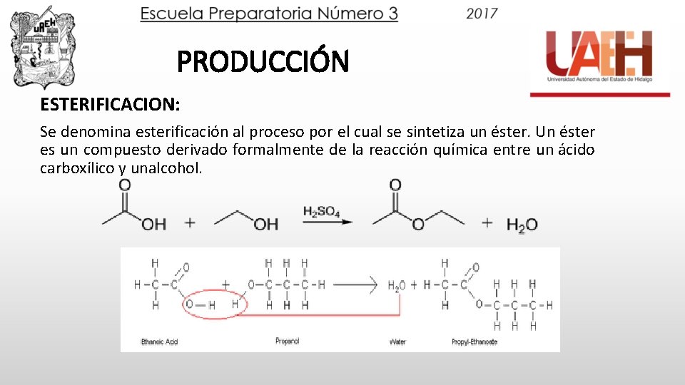 PRODUCCIÓN ESTERIFICACION: Se denomina esterificación al proceso por el cual se sintetiza un éster.