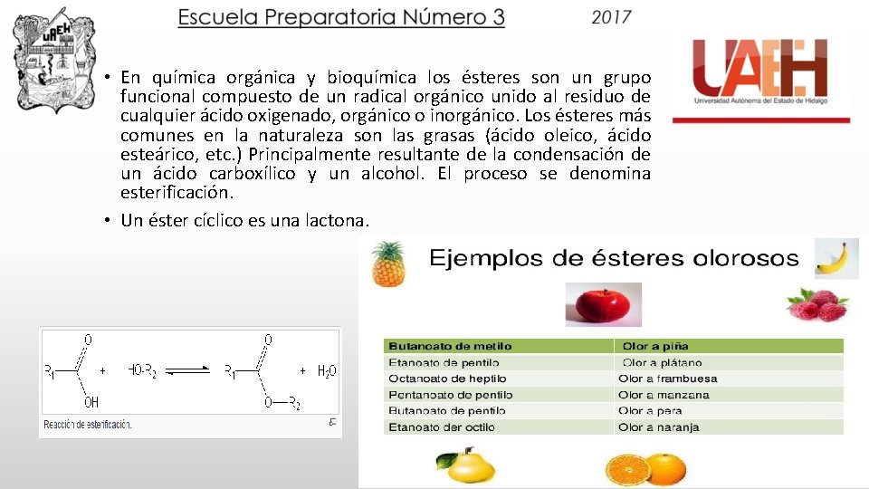 • En química orgánica y bioquímica los ésteres son un grupo funcional compuesto