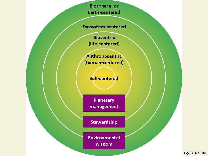 Biosphere- or Earth-centered Ecosystem-centered Biocentric (life-centered) Anthropocentric (human-centered) Self-centered Planetary management Stewardship Environmental wisdom