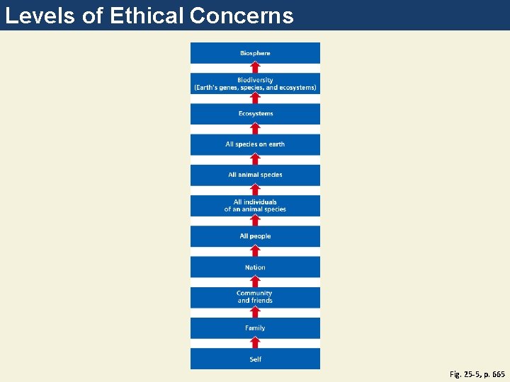 Levels of Ethical Concerns Fig. 25 -5, p. 665 