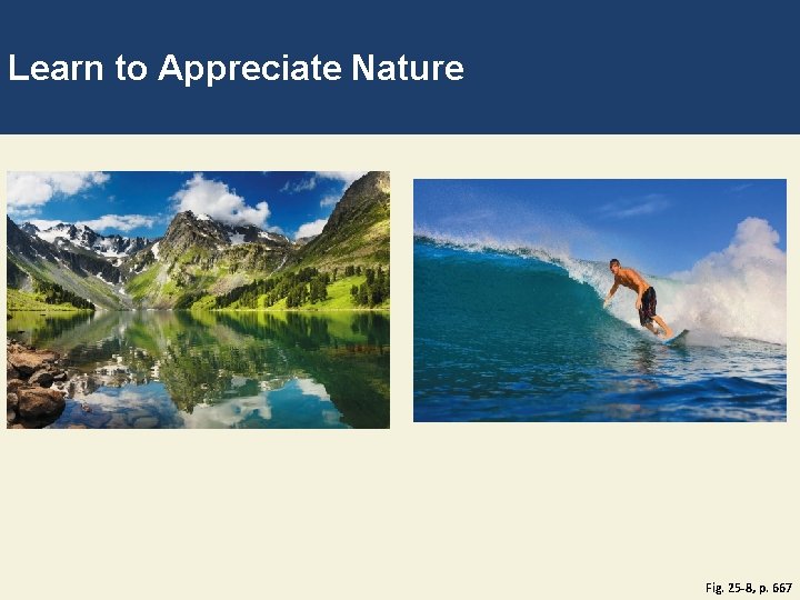 Learn to Appreciate Nature Fig. 25 -8, p. 667 