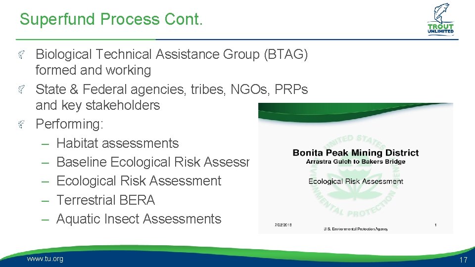 Superfund Process Cont. Biological Technical Assistance Group (BTAG) formed and working State & Federal