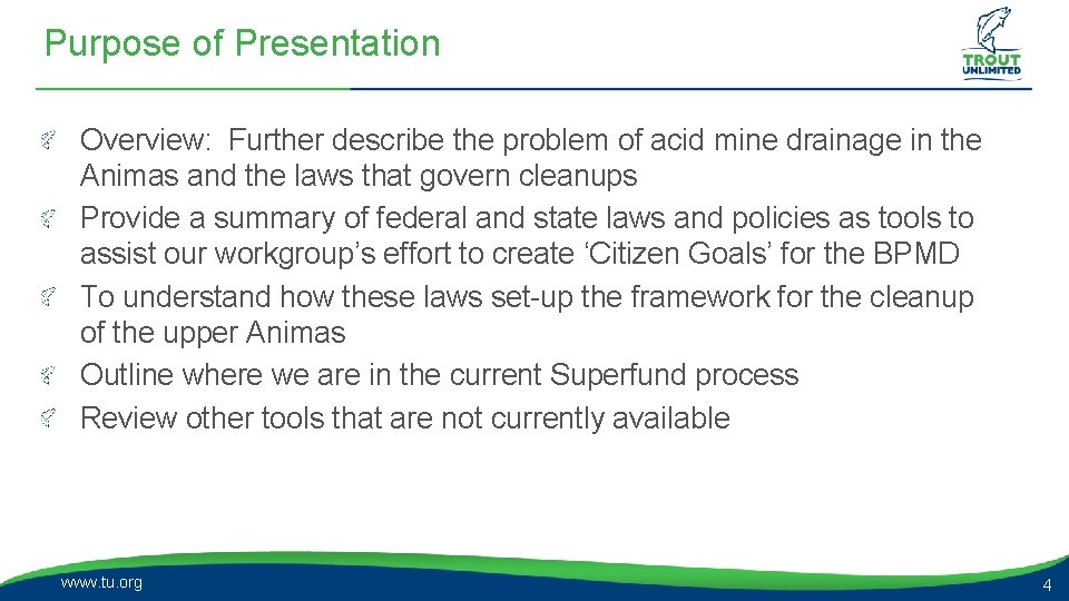 Purpose of Presentation Overview: Further describe the problem of acid mine drainage in the