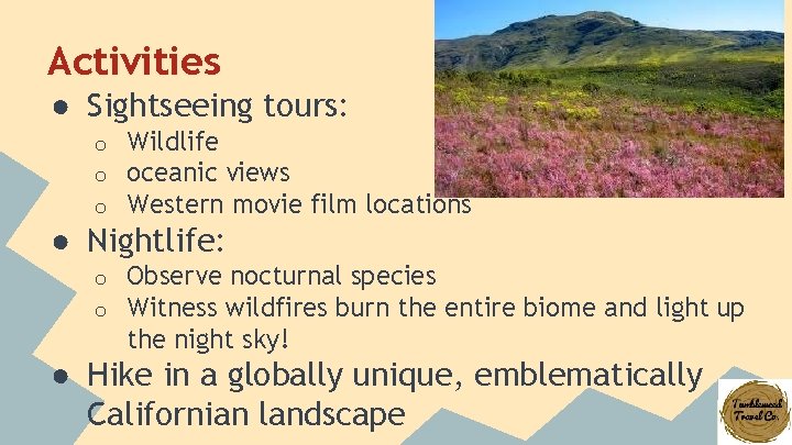 Activities ● Sightseeing tours: o o o Wildlife oceanic views Western movie film locations
