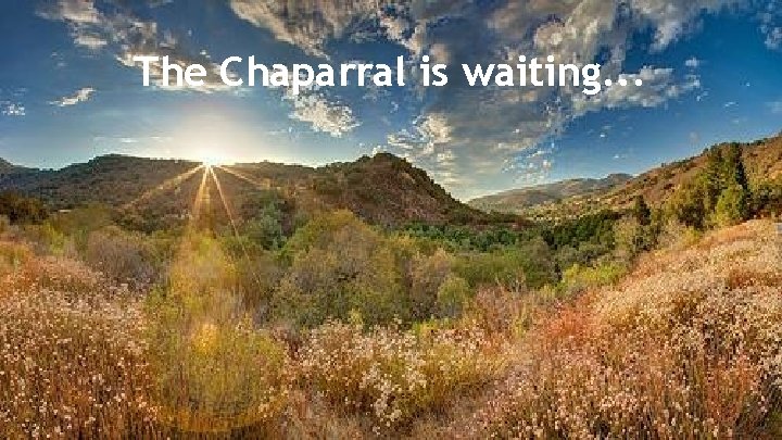 The Chaparral is waiting. . . 