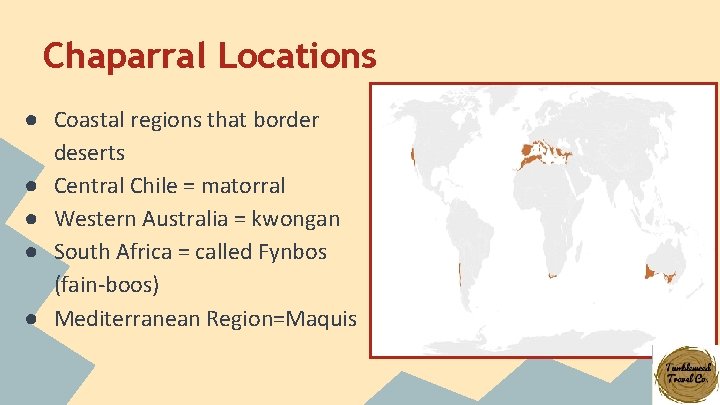Chaparral Locations ● Coastal regions that border deserts ● Central Chile = matorral ●