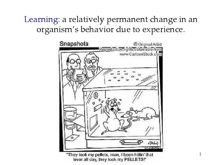 Learning: a relatively permanent change in an organism’s behavior due to experience. 1 