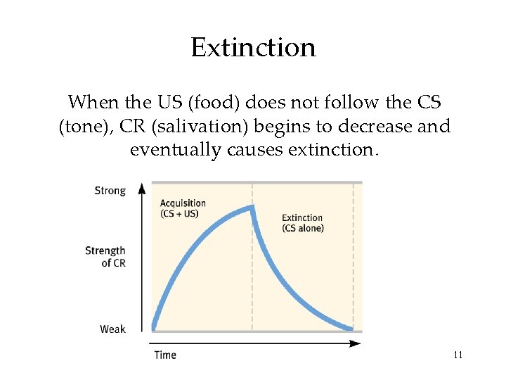 Extinction When the US (food) does not follow the CS (tone), CR (salivation) begins