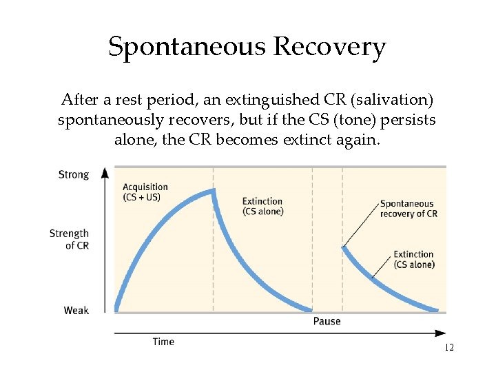 Spontaneous Recovery After a rest period, an extinguished CR (salivation) spontaneously recovers, but if
