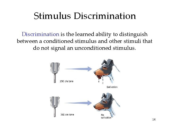 Stimulus Discrimination is the learned ability to distinguish between a conditioned stimulus and other