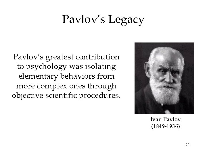 Pavlov’s Legacy Pavlov’s greatest contribution to psychology was isolating elementary behaviors from more complex