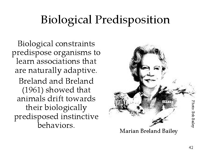 Biological Predisposition Marian Breland Bailey Photo: Bob Bailey Biological constraints predispose organisms to learn