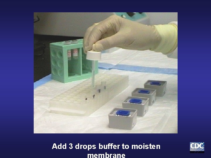 Add 3 drops buffer to moisten Add 3 drops buffer to moisten