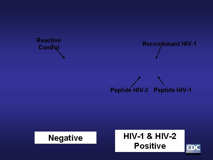 Reactive Control Recombinant HIV-1 Peptide HIV-2 Peptide HIV-1 Negative HIV-1 & HIV-2 Positive Reactive Control Recombinant HIV-1 Peptide HIV-2 Peptide HIV-1 Negative HIV-1 & HIV-2 Positive