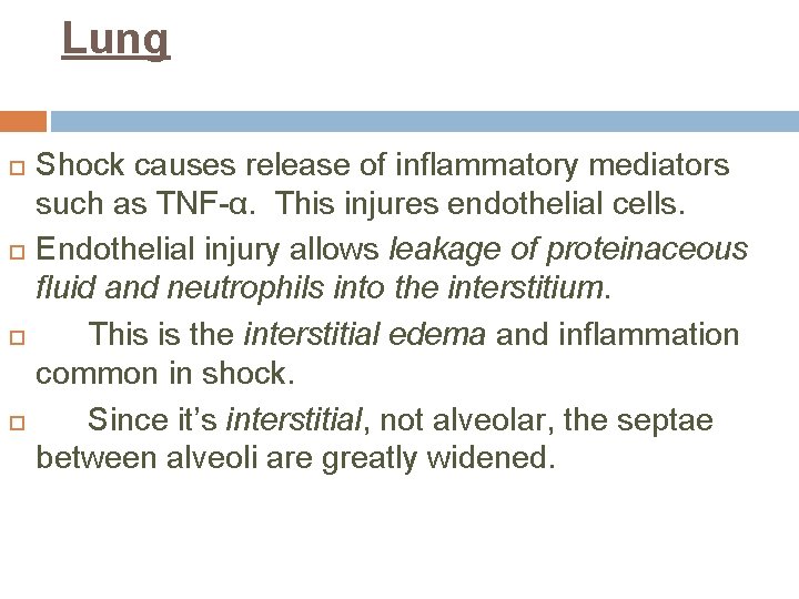 Lung Shock causes release of inflammatory mediators such as TNF-α. This injures endothelial cells.