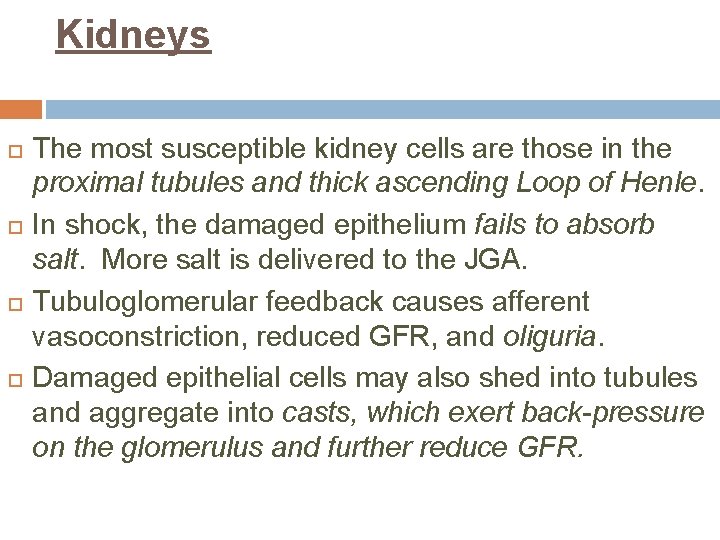 Kidneys The most susceptible kidney cells are those in the proximal tubules and thick
