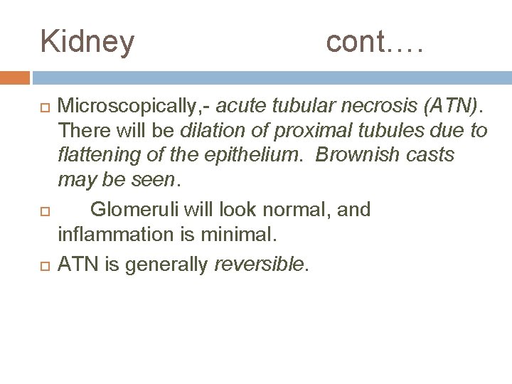Kidney cont…. Microscopically, - acute tubular necrosis (ATN). There will be dilation of proximal