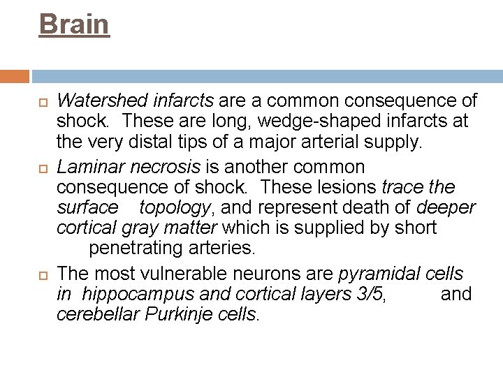 Brain Watershed infarcts are a common consequence of shock. These are long, wedge-shaped infarcts