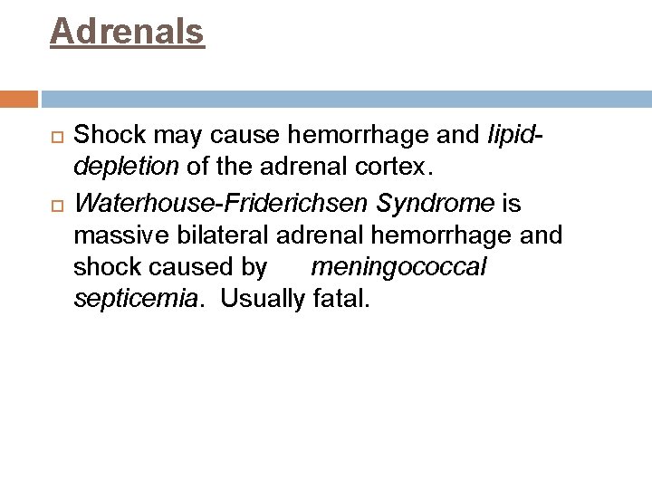Adrenals Shock may cause hemorrhage and lipiddepletion of the adrenal cortex. Waterhouse-Friderichsen Syndrome is