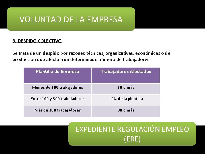 VOLUNTAD DE LA EMPRESA 3. DESPIDO COLECTIVO Se trata de un despido por razones