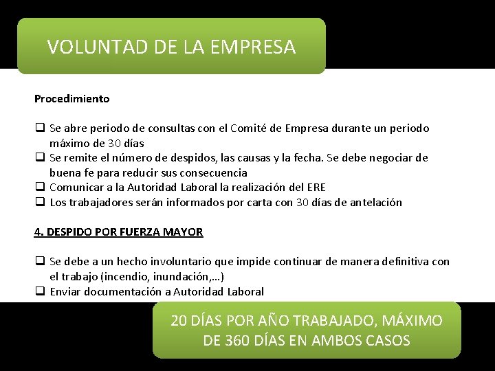 VOLUNTAD DE LA EMPRESA Procedimiento q Se abre periodo de consultas con el Comité