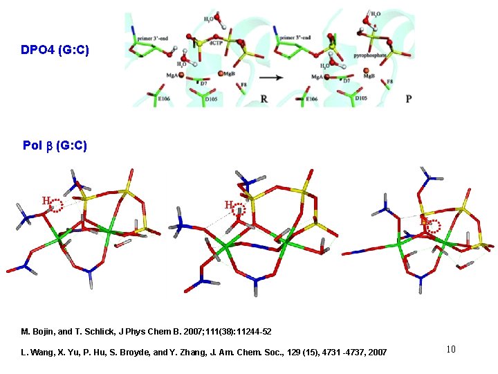 Bypassing Lesions In Dpo 4 Oxog A Mismatch