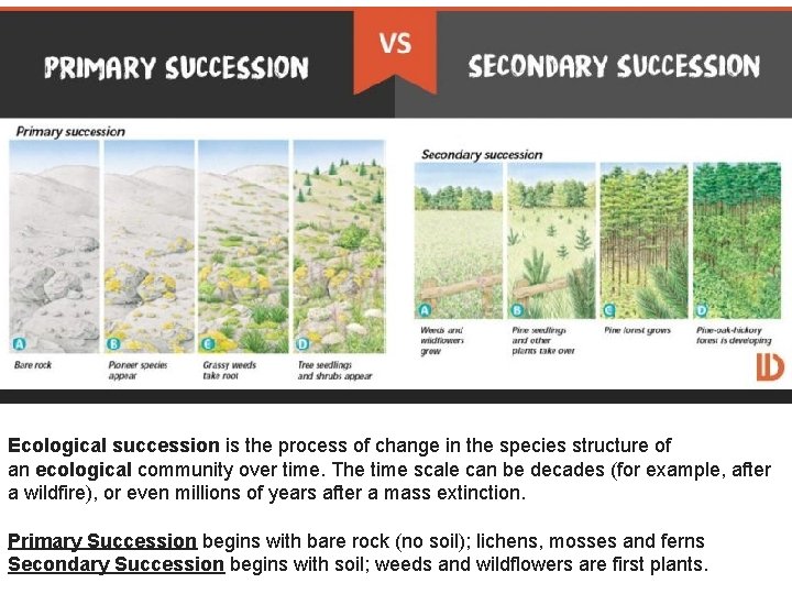 Ecological succession is the process of change in the species structure of an ecological