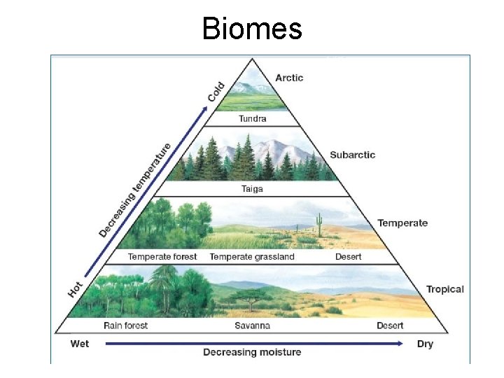 Biomes 