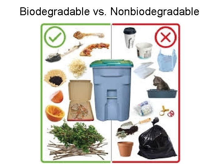 Biodegradable vs. Nonbiodegradable 