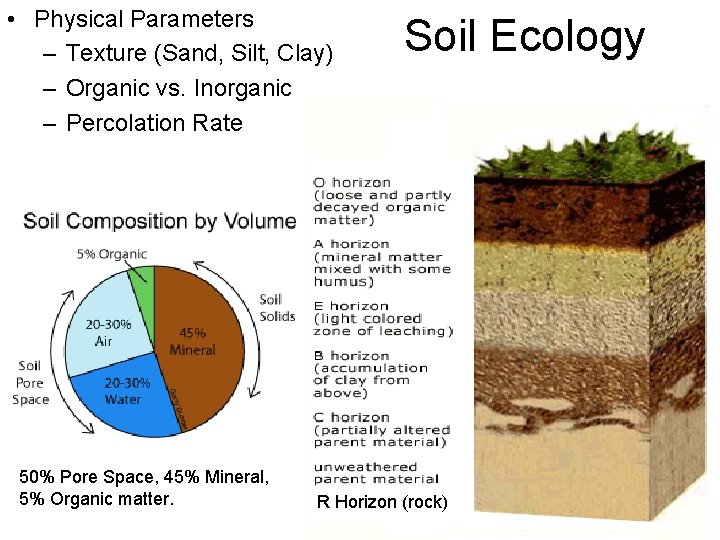  • Physical Parameters – Texture (Sand, Silt, Clay) – Organic vs. Inorganic –