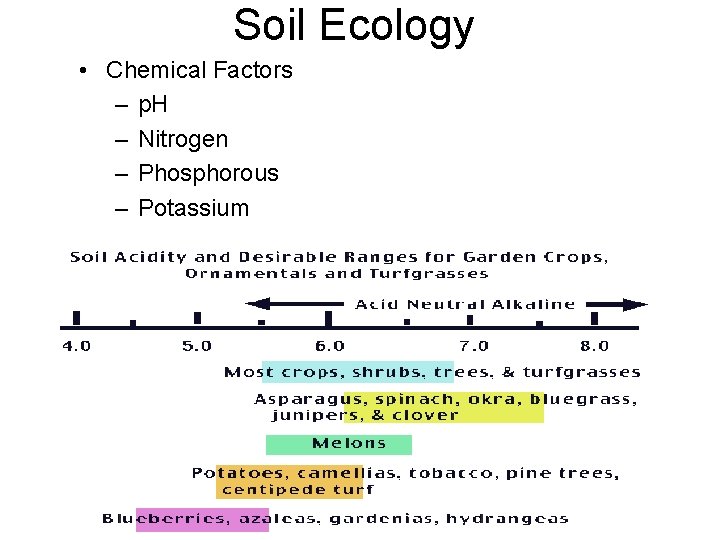 Soil Ecology • Chemical Factors – p. H – Nitrogen – Phosphorous – Potassium