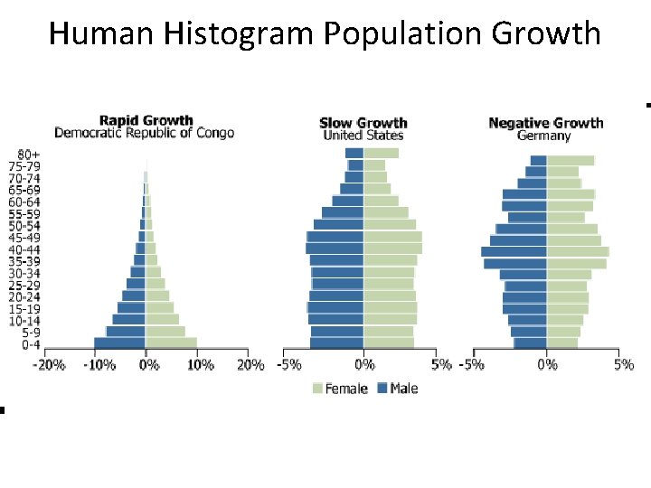 Human Histogram Population Growth 