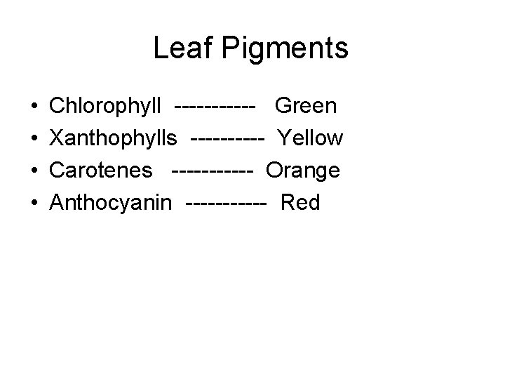  Leaf Pigments • • Chlorophyll ------ Green Xanthophylls ----- Yellow Carotenes ------ Orange