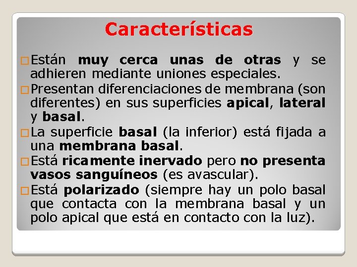 Características �Están muy cerca unas de otras y se adhieren mediante uniones especiales. �Presentan