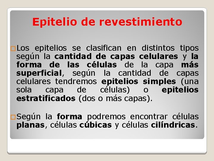 Epitelio de revestimiento �Los epitelios se clasifican en distintos tipos según la cantidad de
