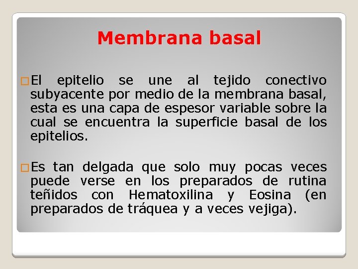 Membrana basal �El epitelio se une al tejido conectivo subyacente por medio de la