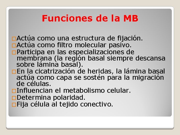 Funciones de la MB �Actúa como �Participa en una estructura de fijación. filtro molecular