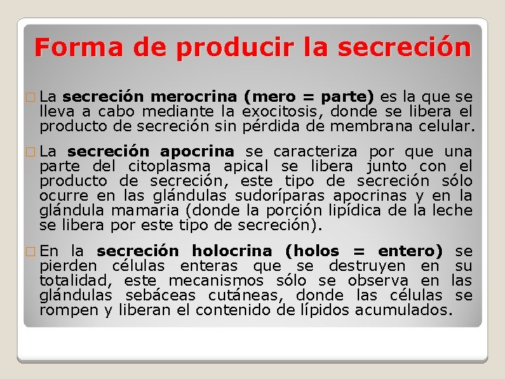 Forma de producir la secreción � La secreción merocrina (mero = parte) es la
