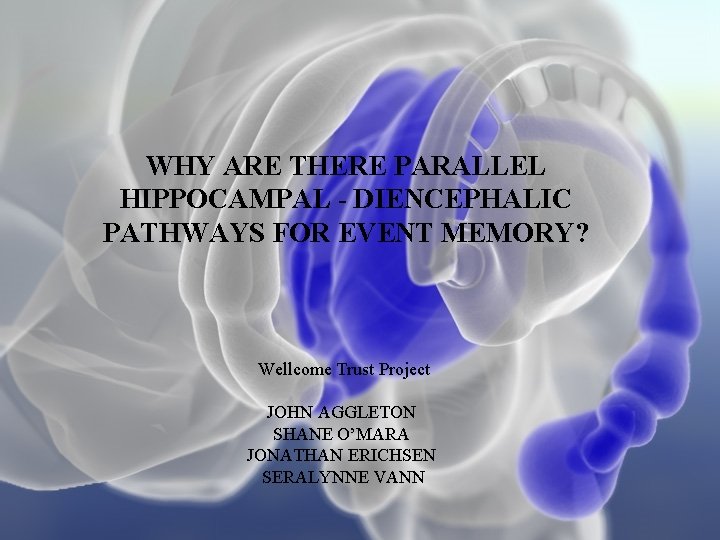 WHY ARE THERE PARALLEL HIPPOCAMPAL - DIENCEPHALIC PATHWAYS FOR EVENT MEMORY? Wellcome Trust Project