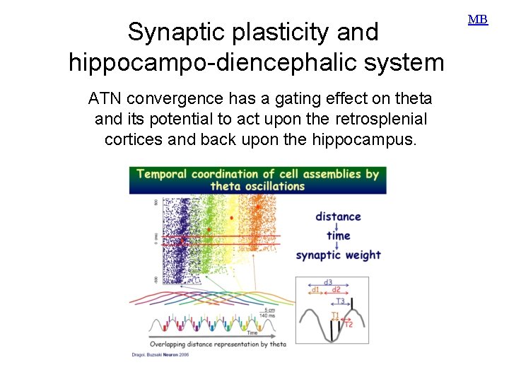 Synaptic plasticity and hippocampo-diencephalic system ATN convergence has a gating effect on theta and