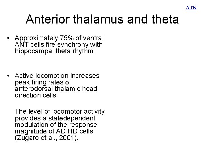 ATN Anterior thalamus and theta • Approximately 75% of ventral ANT cells fire synchrony