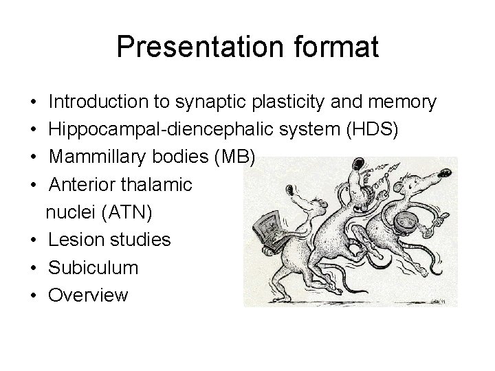 Presentation format • • Introduction to synaptic plasticity and memory Hippocampal-diencephalic system (HDS) Mammillary