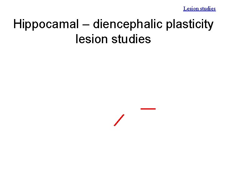 Lesion studies Hippocamal – diencephalic plasticity lesion studies 