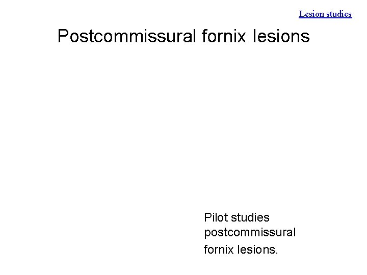 Lesion studies Postcommissural fornix lesions Pilot studies postcommissural fornix lesions. 