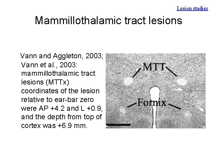 Lesion studies Mammillothalamic tract lesions Vann and Aggleton, 2003; Vann et al. , 2003: