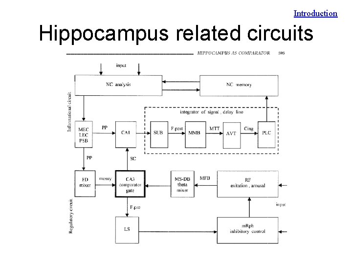 Introduction Hippocampus related circuits 