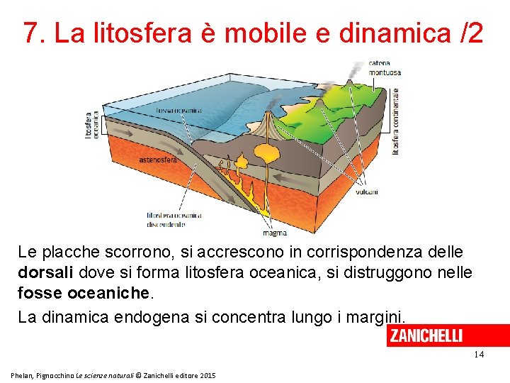7. La litosfera è mobile e dinamica /2 Le placche scorrono, si accrescono in 7. La litosfera è mobile e dinamica /2 Le placche scorrono, si accrescono in