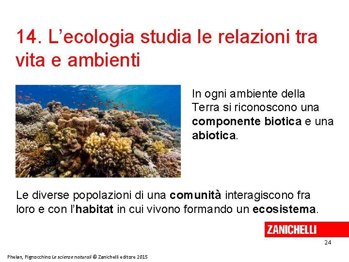 14. L’ecologia studia le relazioni tra vita e ambienti In ogni ambiente della Terra 14. L’ecologia studia le relazioni tra vita e ambienti In ogni ambiente della Terra