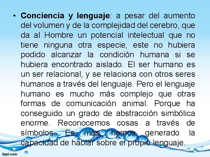  • Conciencia y lenguaje: a pesar del aumento del volumen y de la