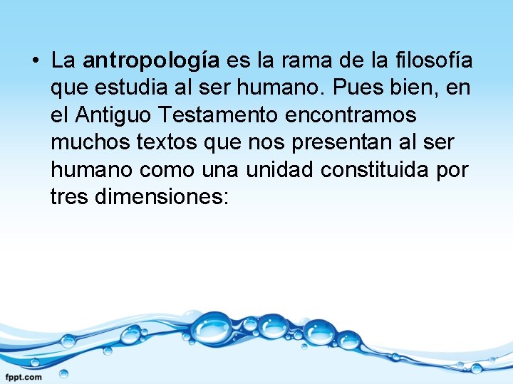  • La antropología es la rama de la filosofía que estudia al ser